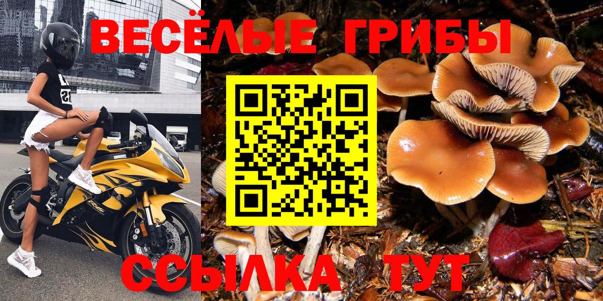 Галлюциногенные грибы GOLDEN TEACHER Челябинск