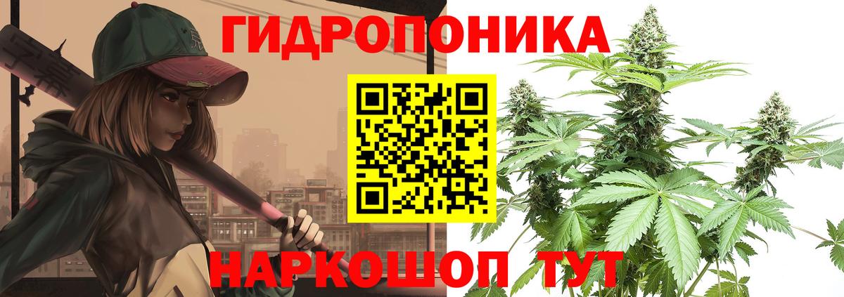 Бошки марихуана White Widow  Канабис SATIVA & INDICA  Вход с VPN  Челябинск  Шишки марихуана конопля 